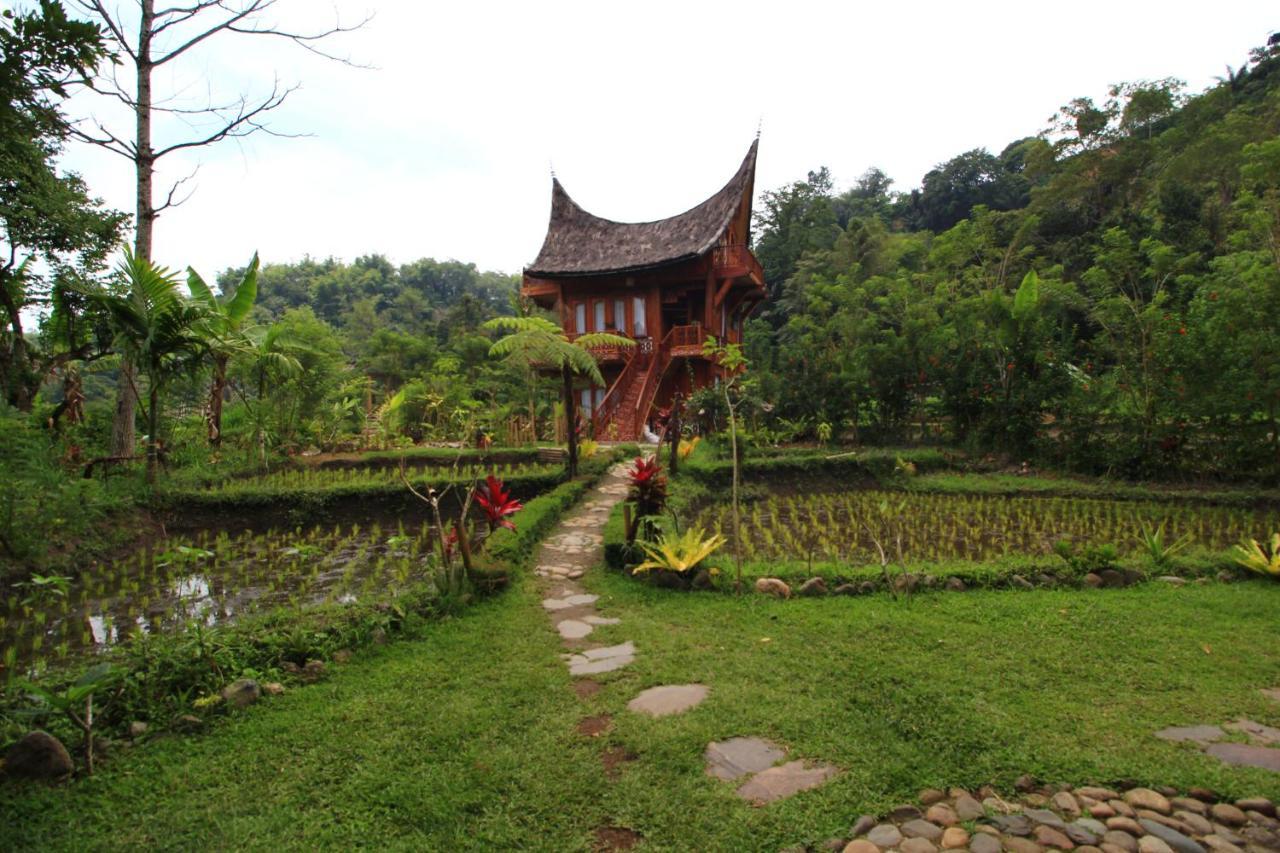 Padi Ecolodge Bukittinggi Exterior foto